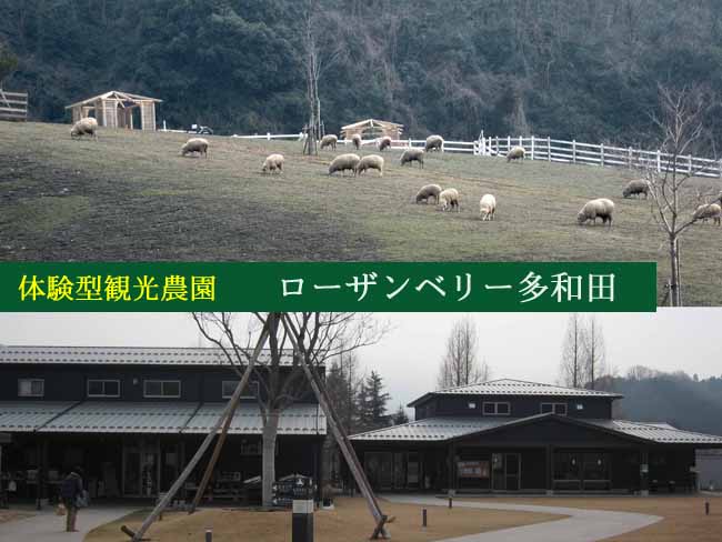 ローザンベリー多和田