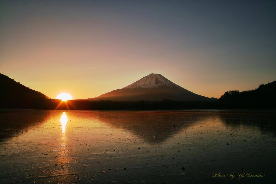 癒やし画像